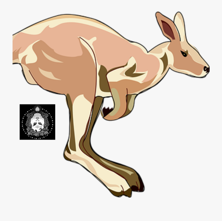 Kangaroo Clip Art, Transparent Clipart