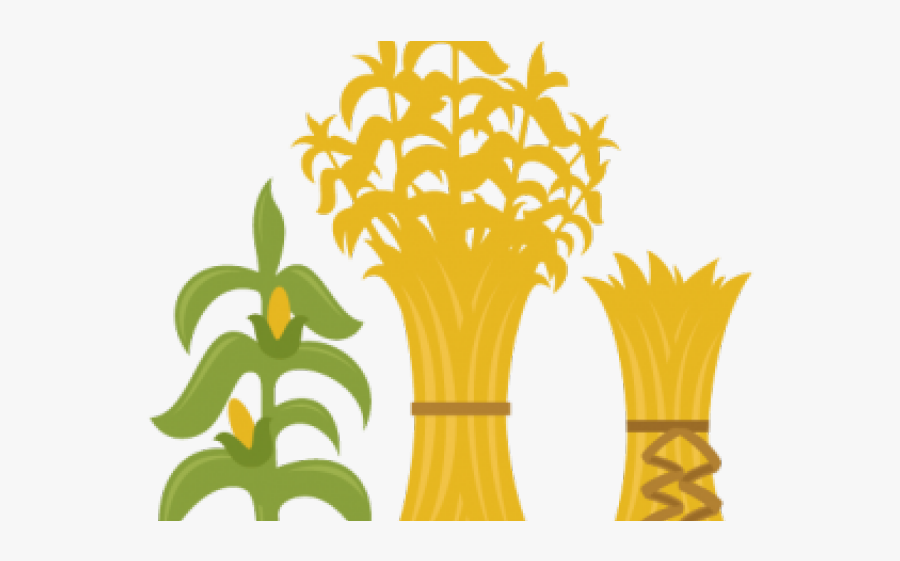 Pumpkin Clipart Corn Stalk - Cornstalk Transparent Clipart, Transparent Clipart