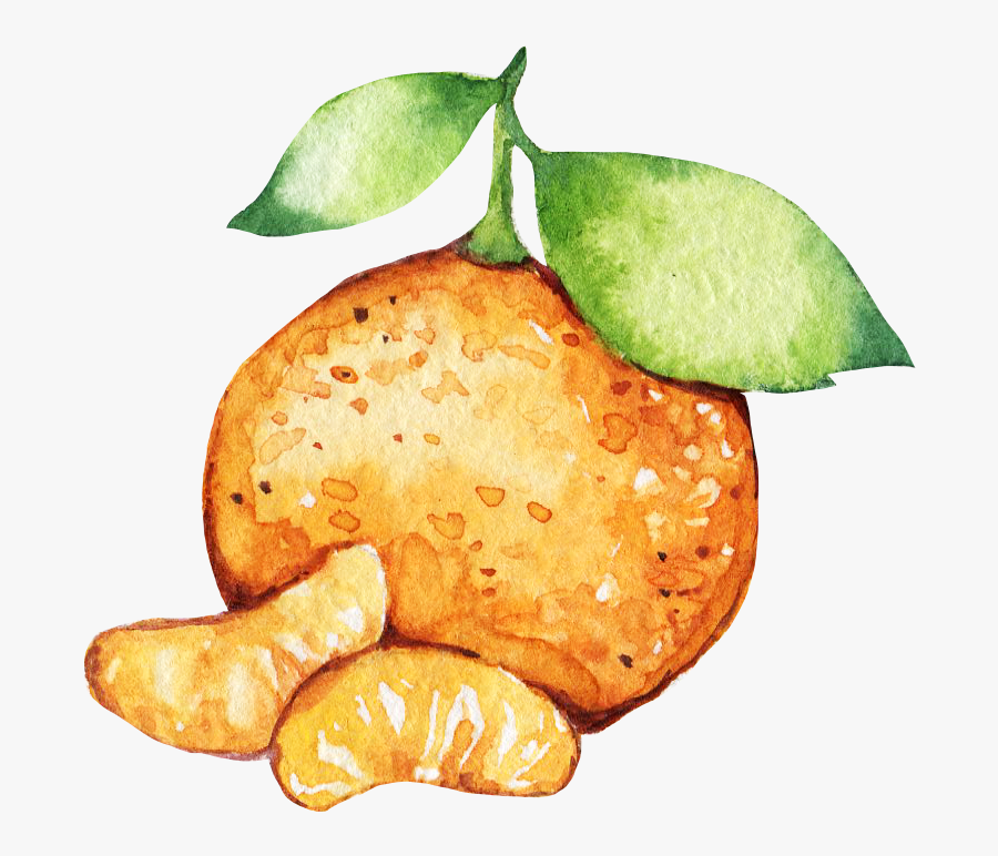 Transparent Tangerine Png - Mandarin Orange, Transparent Clipart