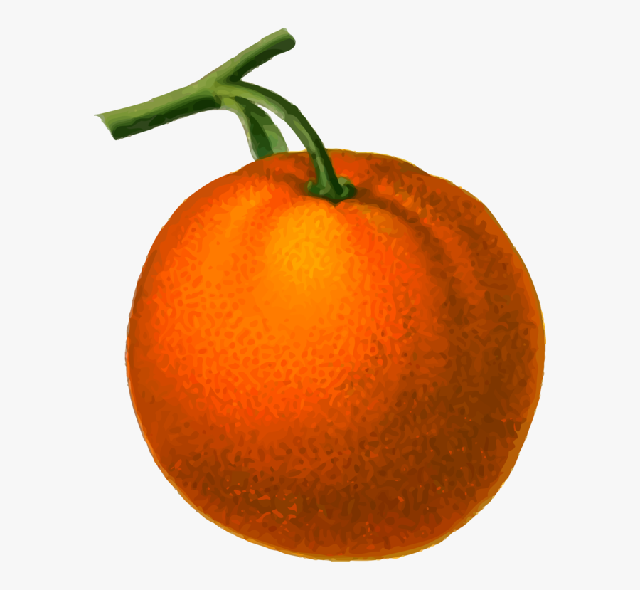 Tomato,mandarin Orange,plant - Pomarancza Clipart, Transparent Clipart