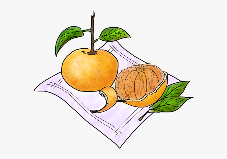 Tangerine, Transparent Clipart