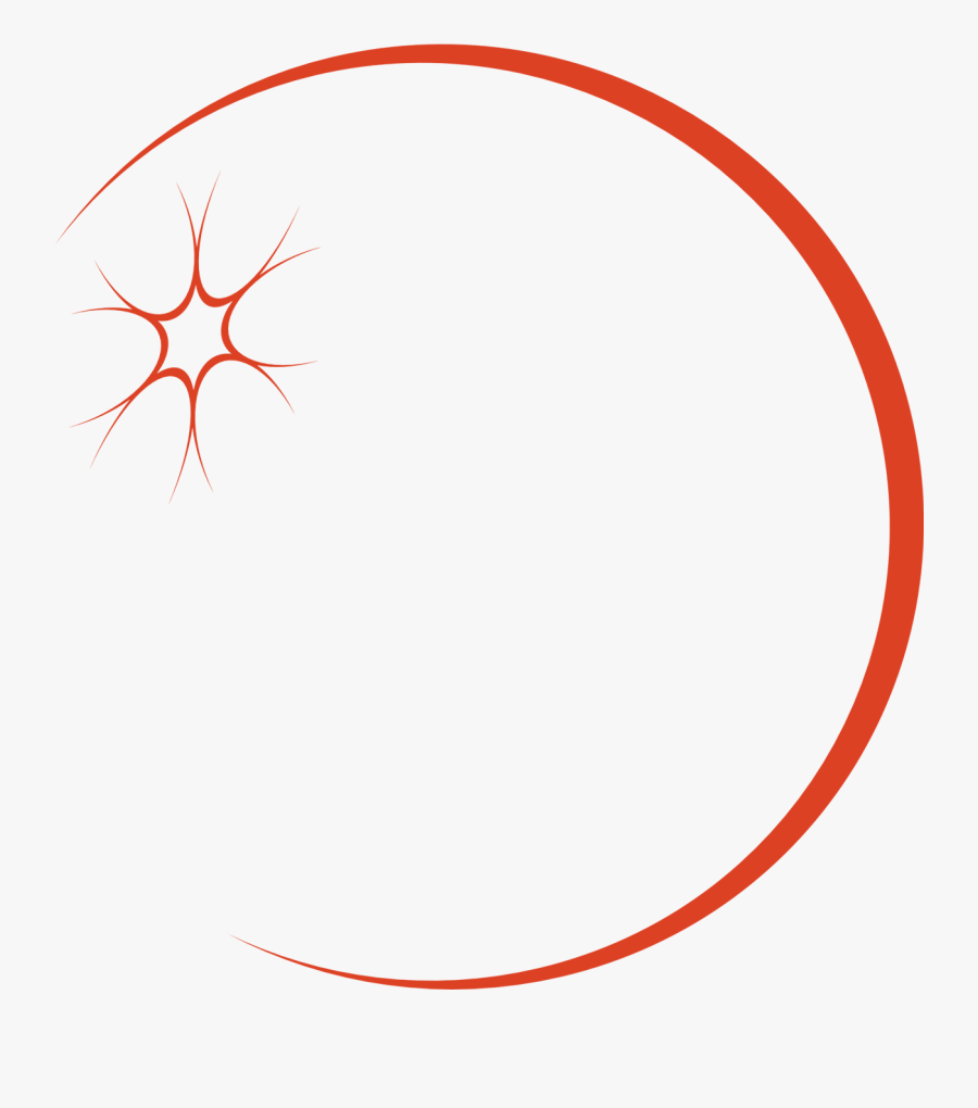 Circle, Transparent Clipart