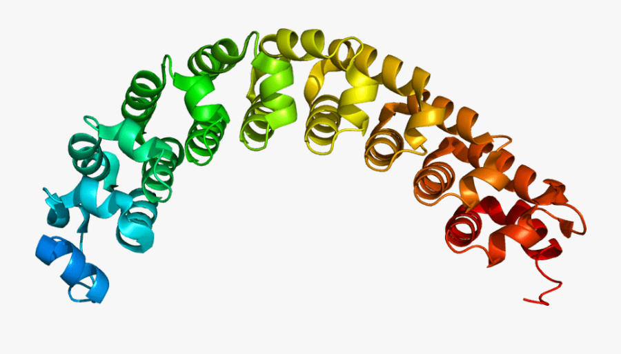 Puf Protein, Transparent Clipart