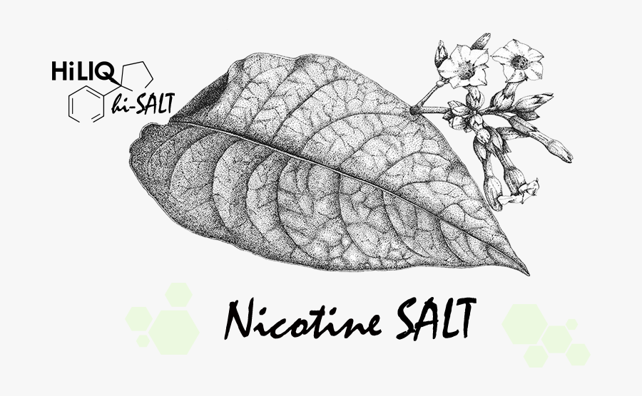 Nicotine Salts Tobacco Leaf, Transparent Clipart