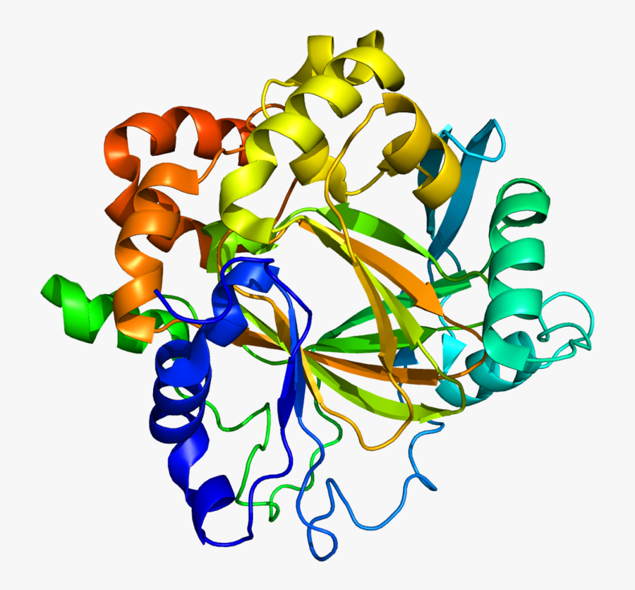 Kdm4a - Image - Https - //commons - Wikimedia - Org/wiki/file%3aprotein - Kdm4d, Transparent Clipart