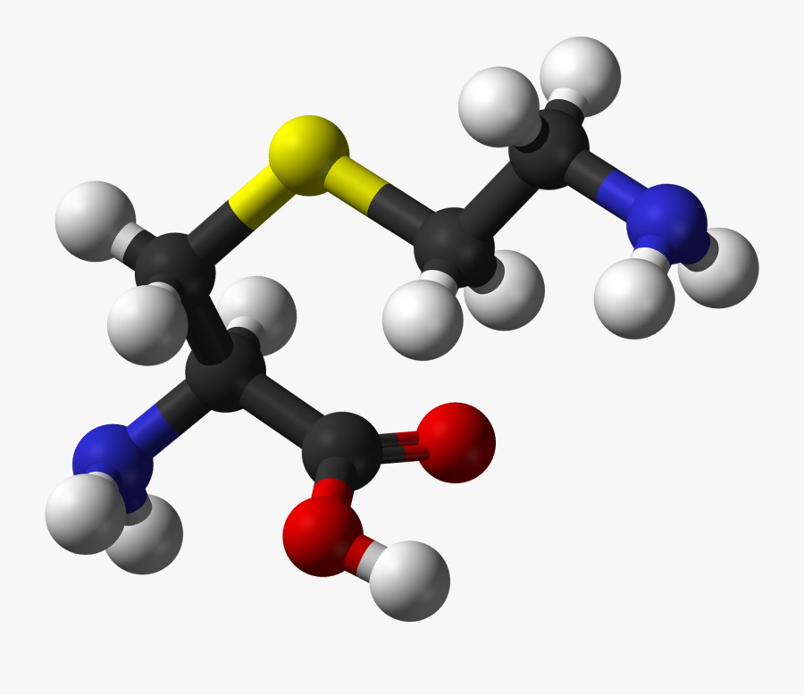 Ball And Stick Model - Amino Acids 3d, Transparent Clipart