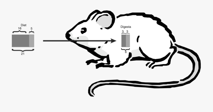 Calculation Of The Total Lysine And Reactive Lysine, Transparent Clipart