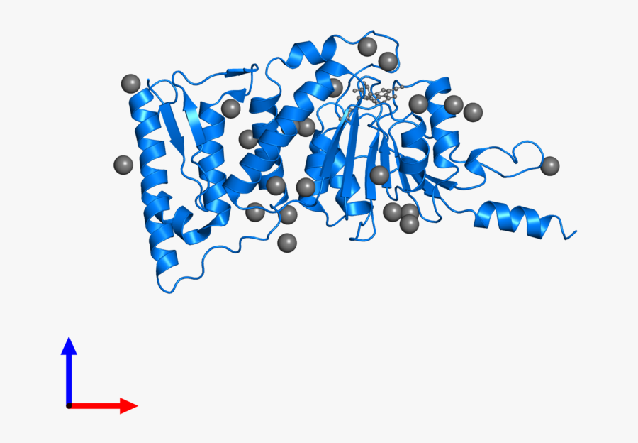 Graphic Design, Transparent Clipart