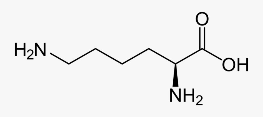 Lysine Molecular Structure - Lysine Formula, Transparent Clipart