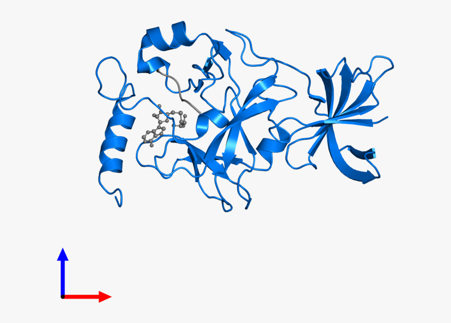 Graphic Design, Transparent Clipart