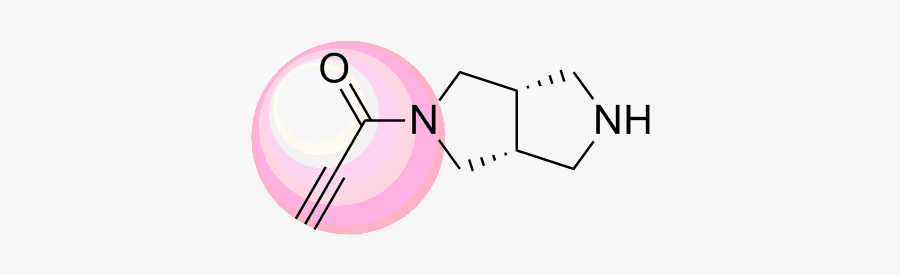 Circle, Transparent Clipart