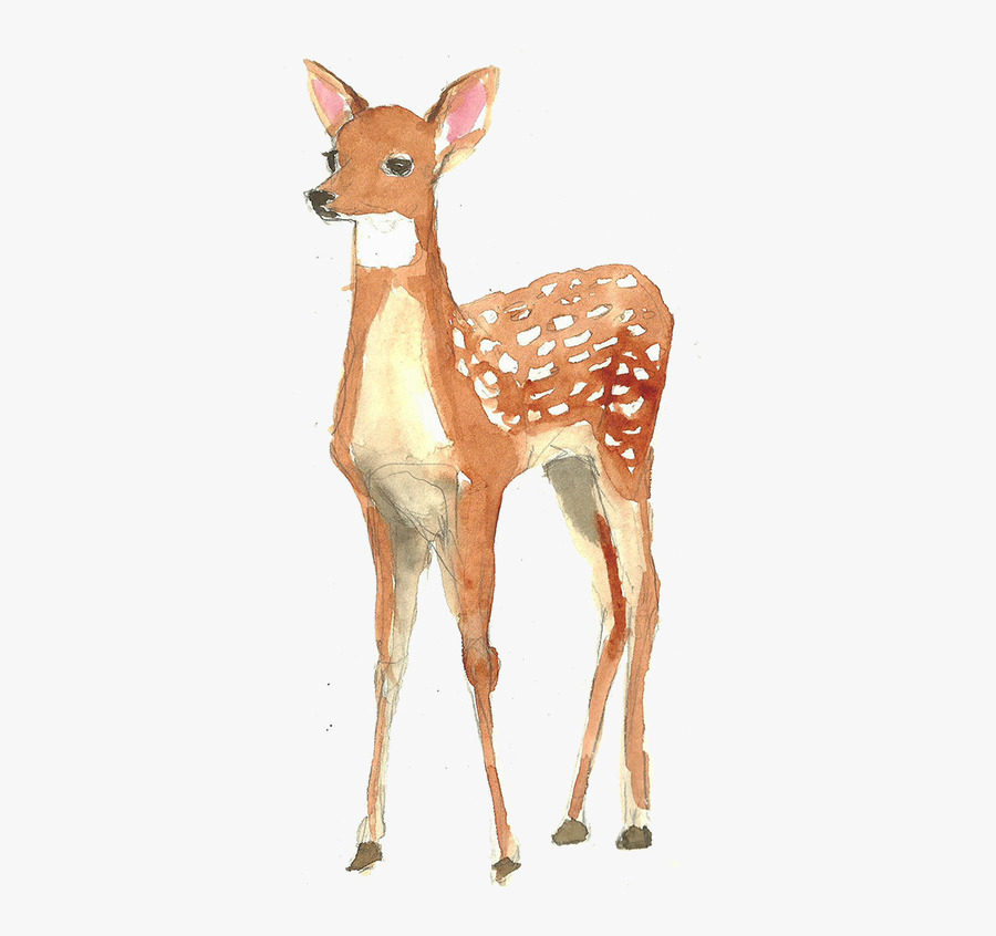 Painting Poster Illustration Deer - Deer Watercolor Png, Transparent Clipart