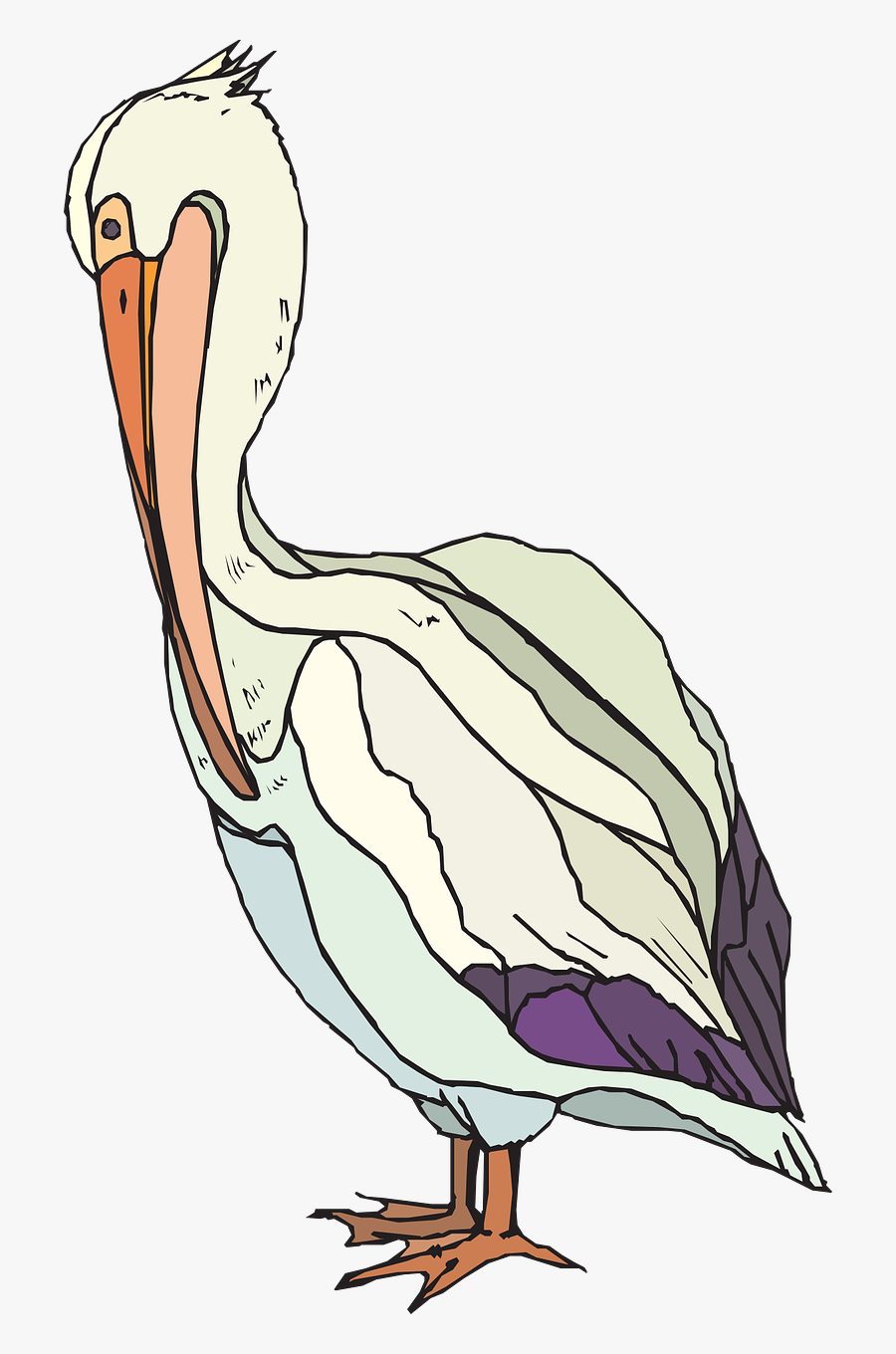 Pelican Searbird Pelecanidae - Pelican Clip Art, Transparent Clipart
