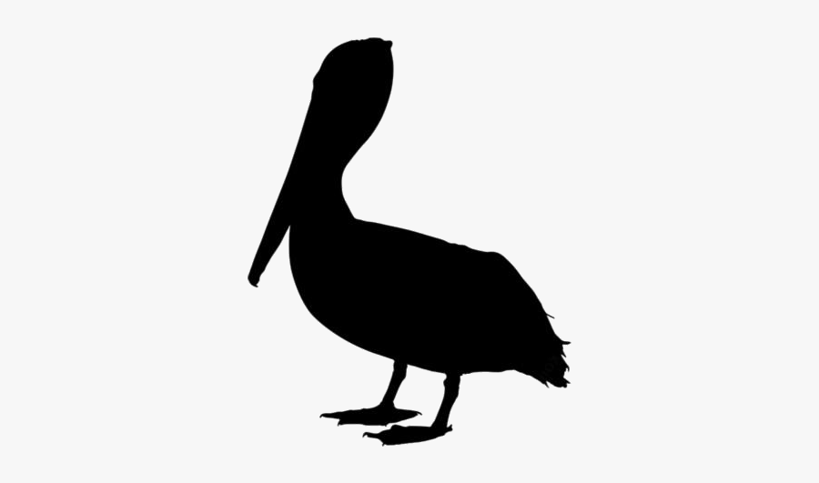 Pelican Png Image Clipart - Turkey, Transparent Clipart