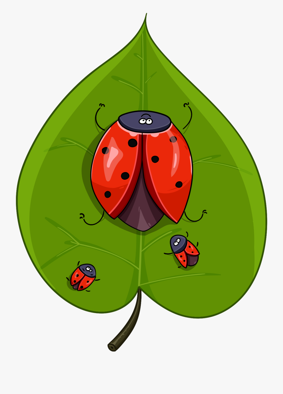 Bugs, Leaf, Lady Bug - Ladybird Beetle, Transparent Clipart
