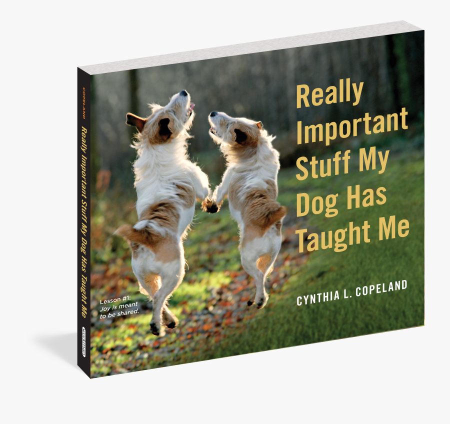 Workman Things My Cat Taught Me, Transparent Clipart