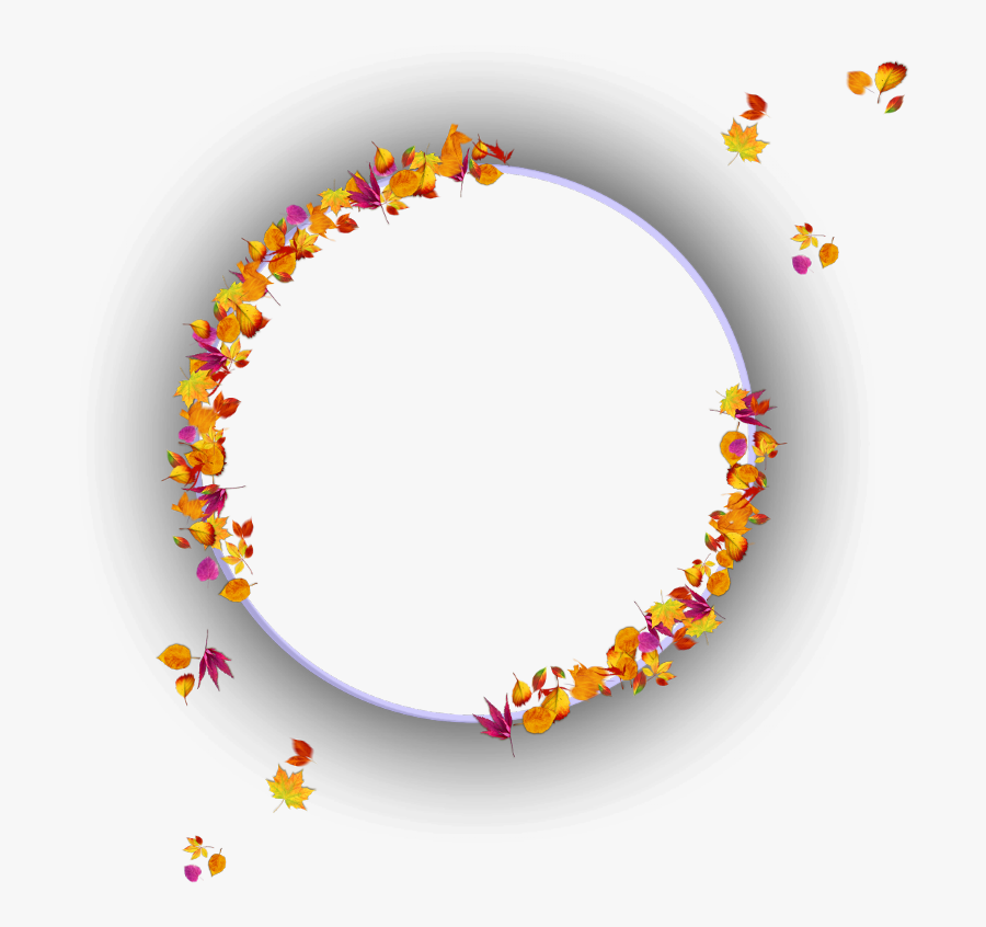 Circle, Transparent Clipart