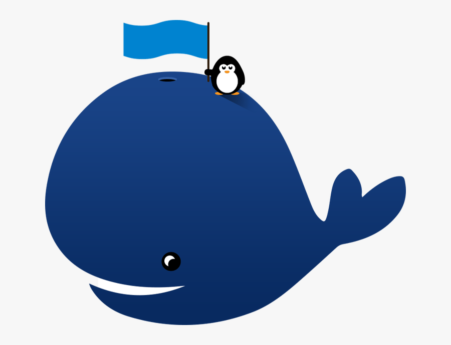 Animated Images Secondtofirst Com Free Clip Art - Whale Animation, Transparent Clipart