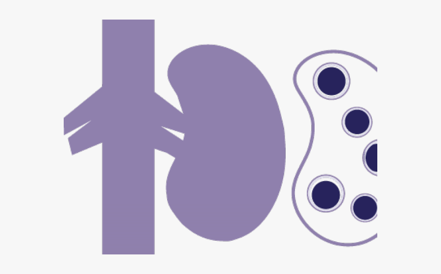 Doctor Symbol Clipart Transplant - Cross, Transparent Clipart