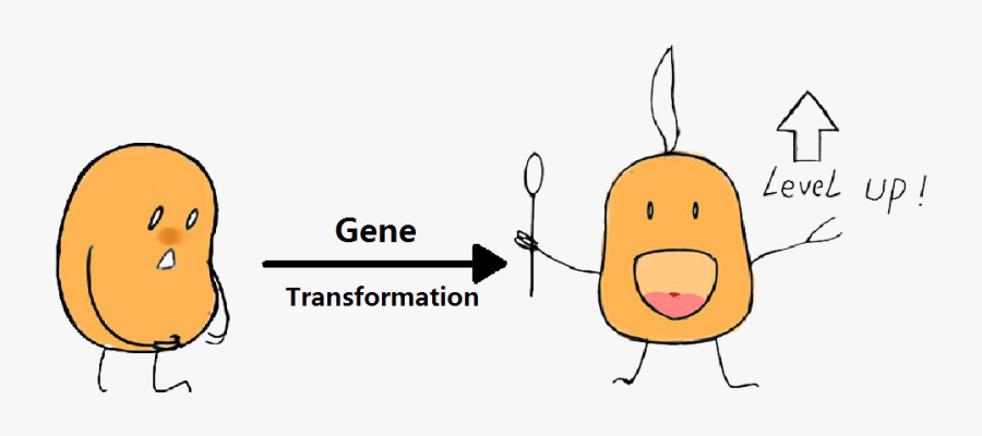 Escherichia Coli Clipart Transparent - Fatty Acid Cartoon, Transparent Clipart
