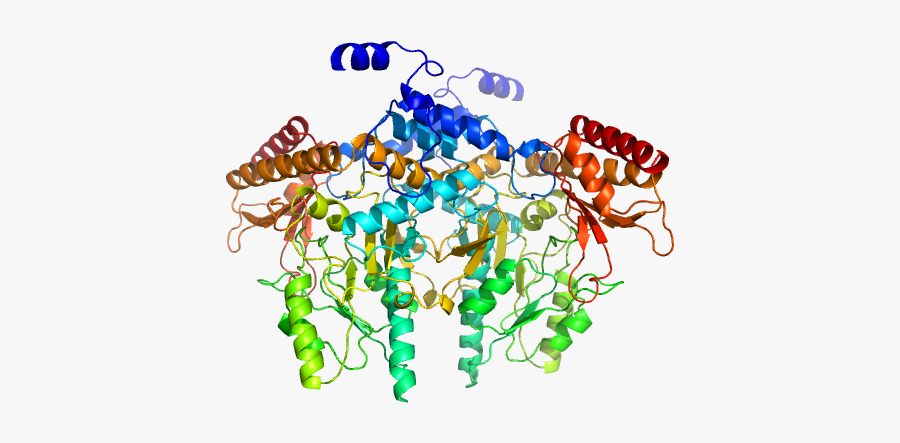 Glutamate Decarboxylase Alpha From E - Graphic Design, Transparent Clipart