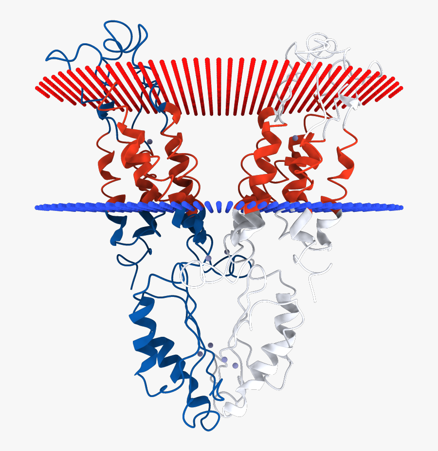 Illustration, Transparent Clipart