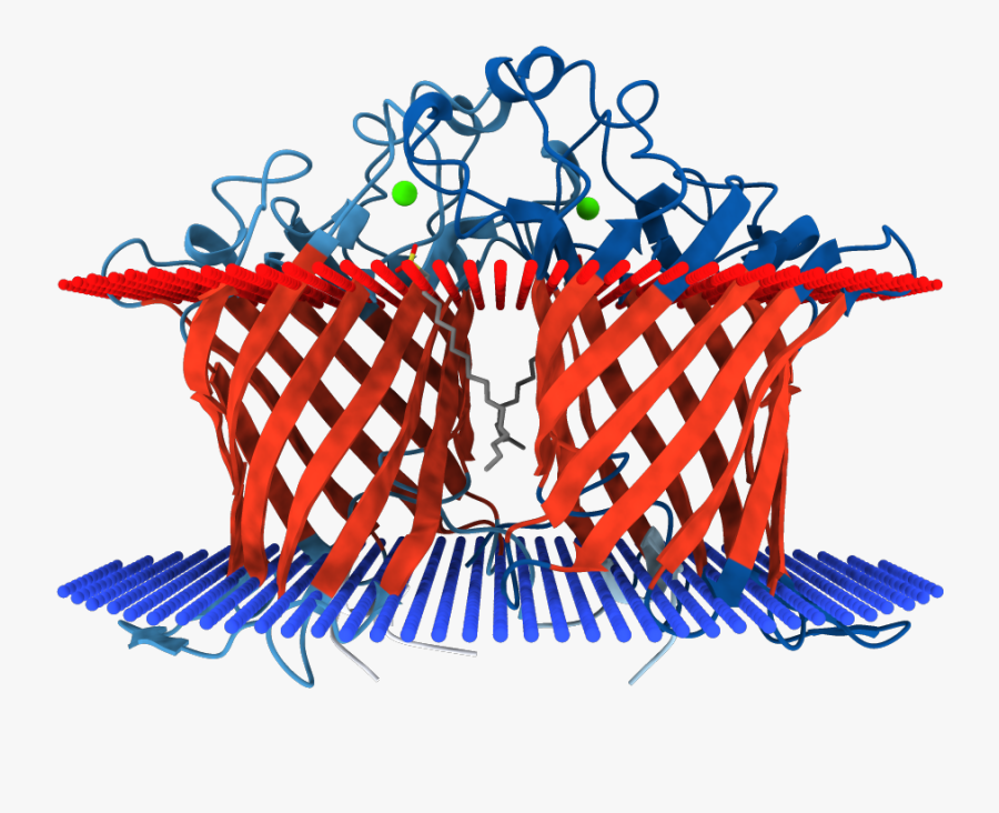 Illustration, Transparent Clipart