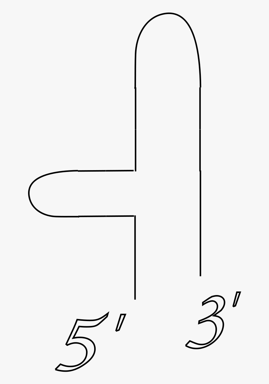 Drawing, Transparent Clipart