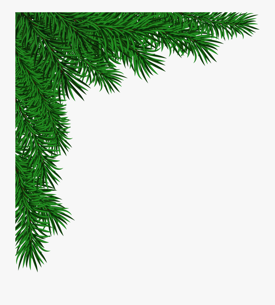 Clip Art Pine Branches Corner Clipart Black And White - Transparent Christmas Corner Png, Transparent Clipart