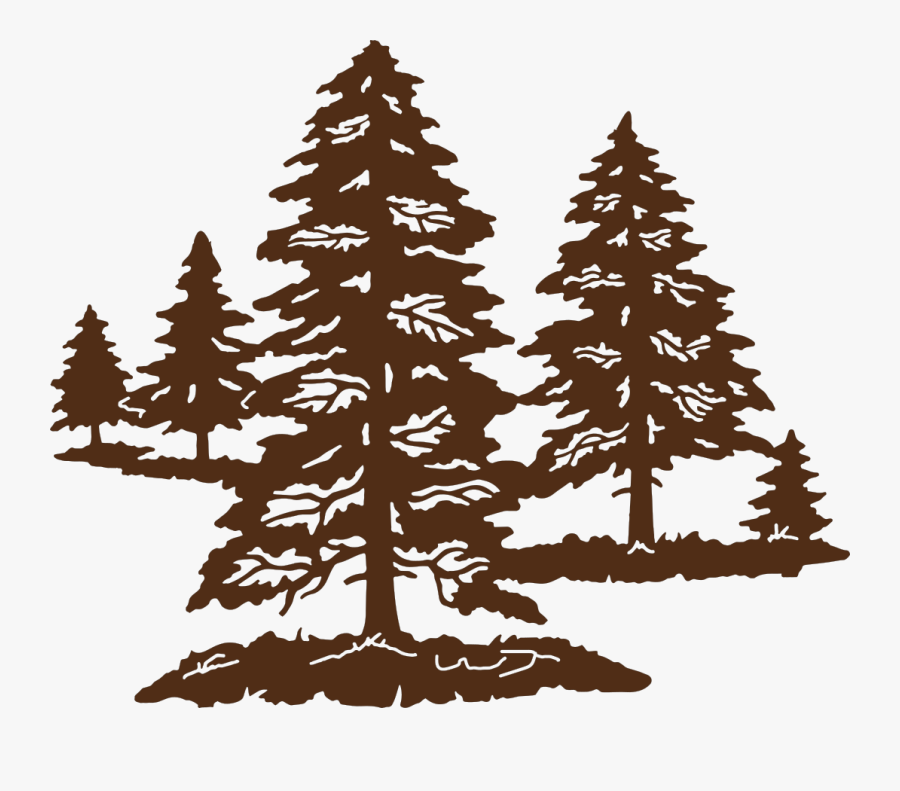 Pine, Transparent Clipart