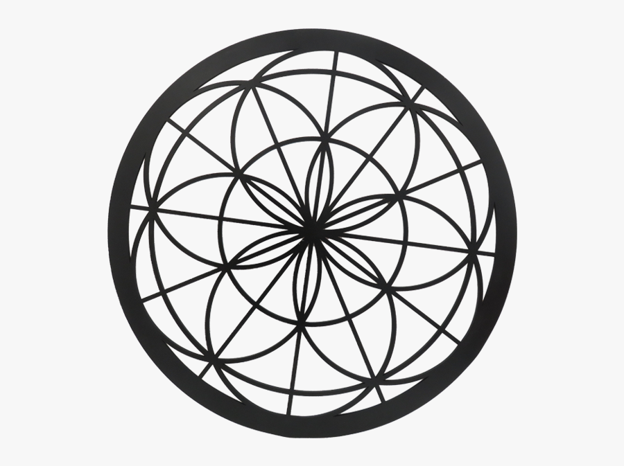 Circle, Transparent Clipart