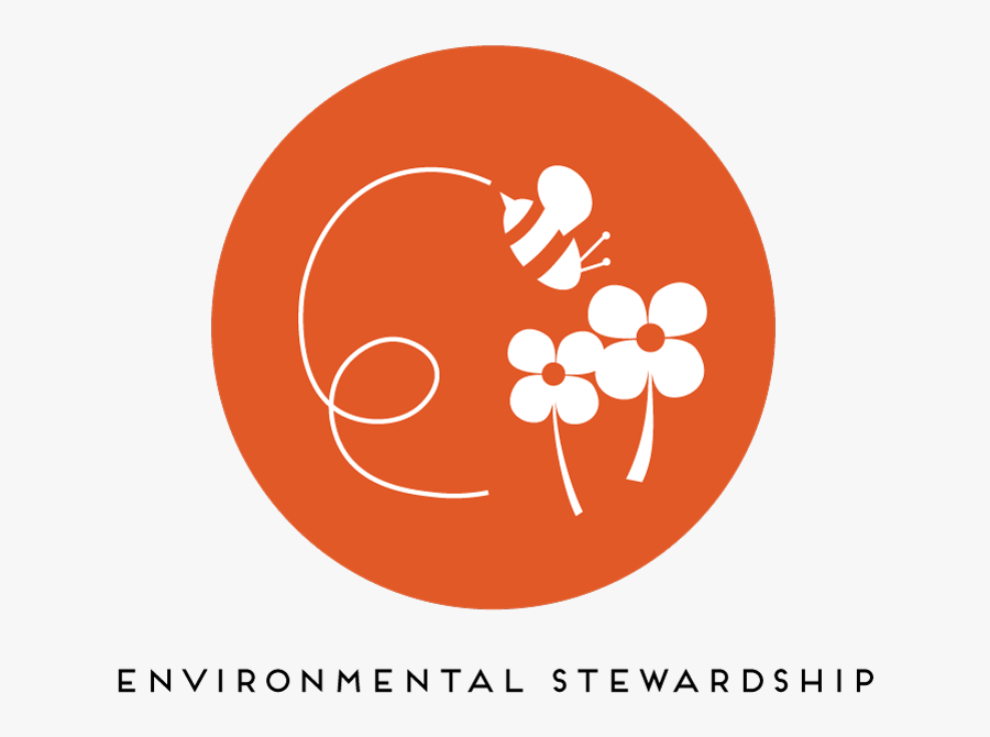 Circle, Transparent Clipart