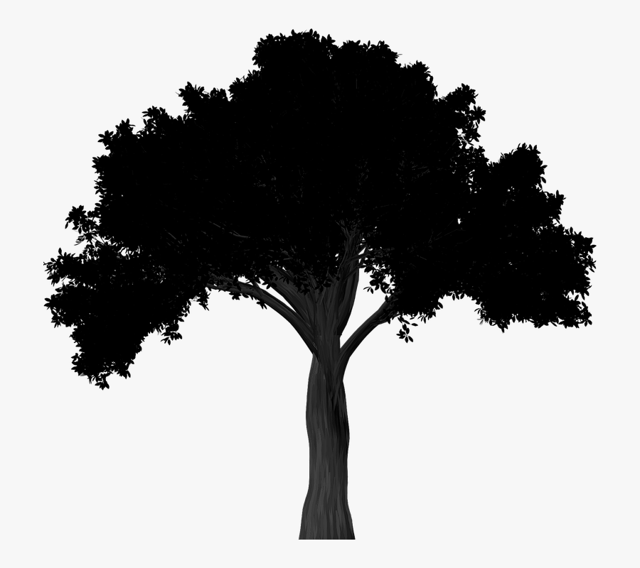 Oak Tree Silhouette Png - Simple Oak Tree Silhouette, Transparent Clipart