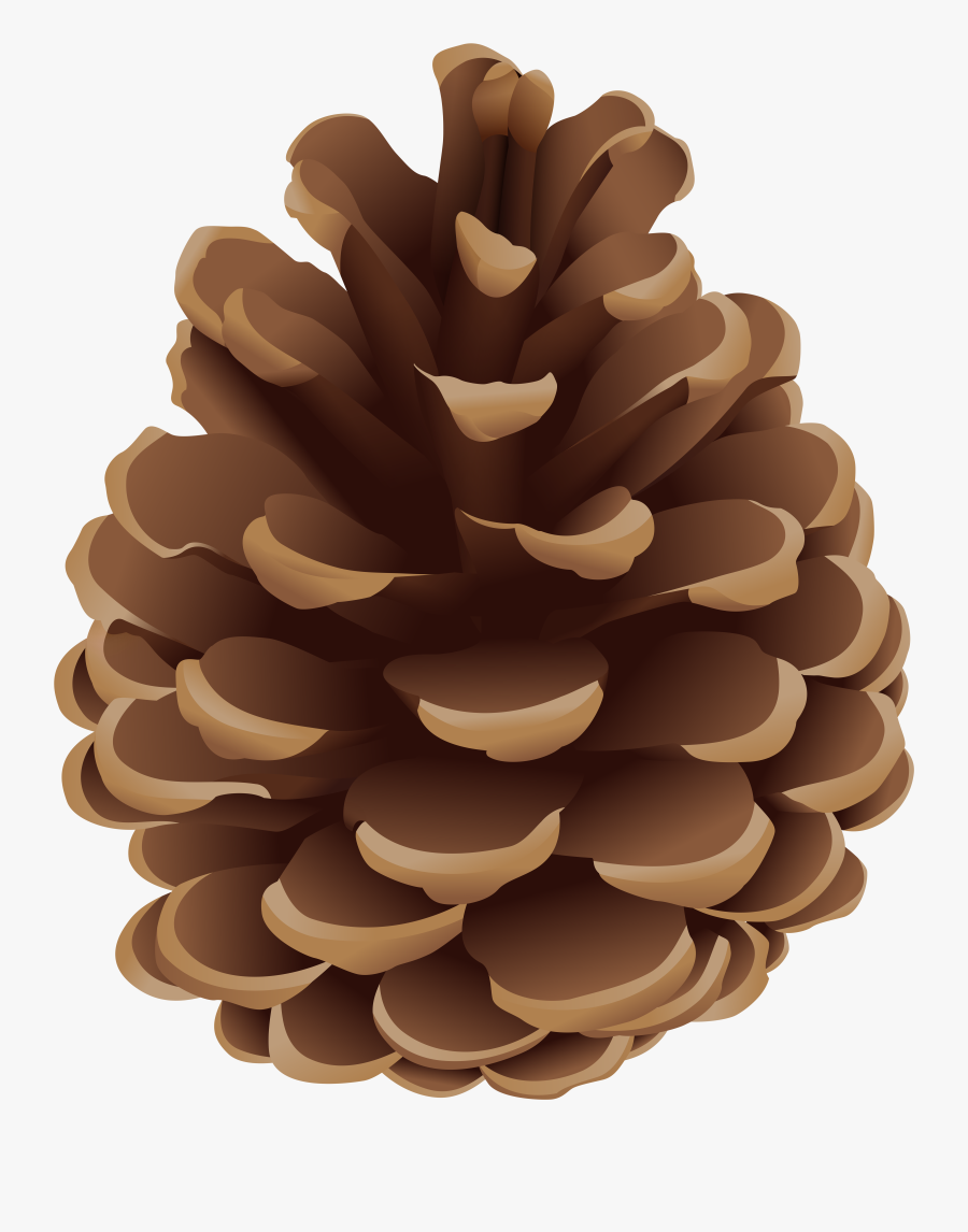 Clip Art Pinecone Png Clip Art, Transparent Clipart