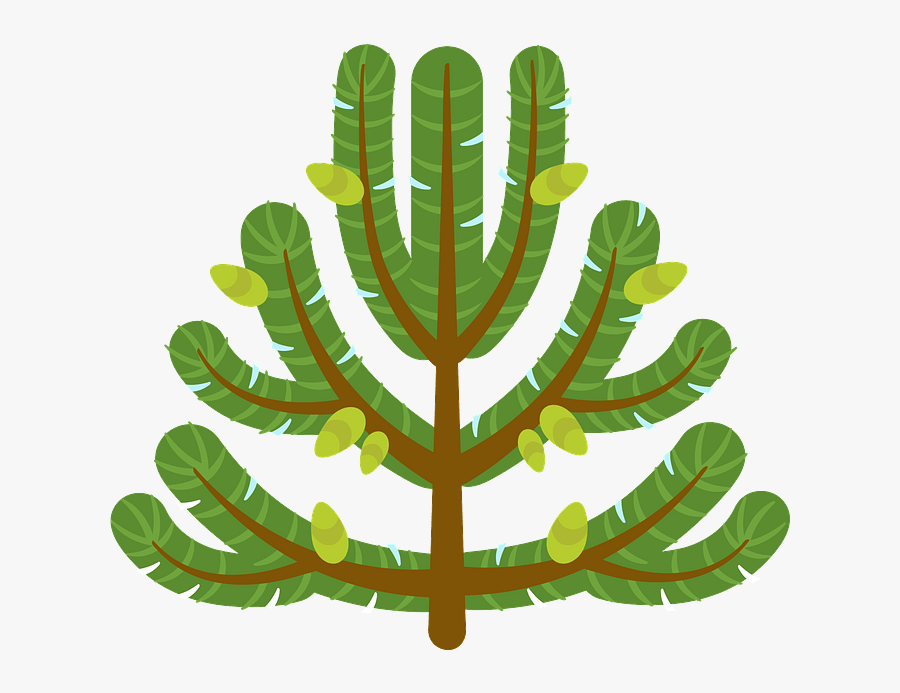 Illustration, Transparent Clipart