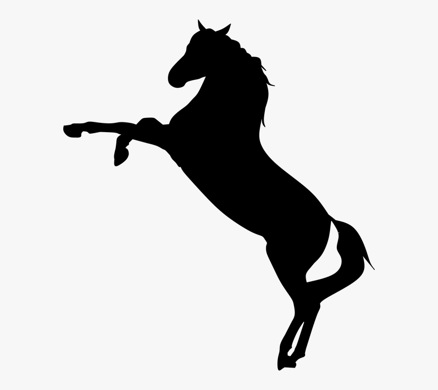Horse, Wild, Mustang, Rearing, Racer, Silhouette - Horse Rearing Silhouette Png, Transparent Clipart