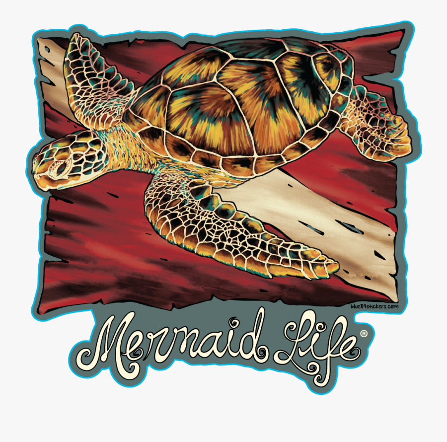 Hawksbill Sea Turtle, Transparent Clipart