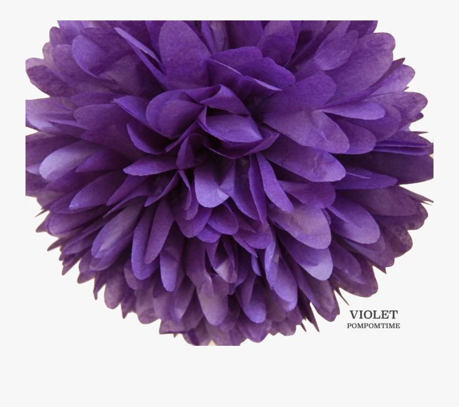 Pom Pom Clipart Transparent Background - Pom Pom Dahlia Free, Transparent Clipart