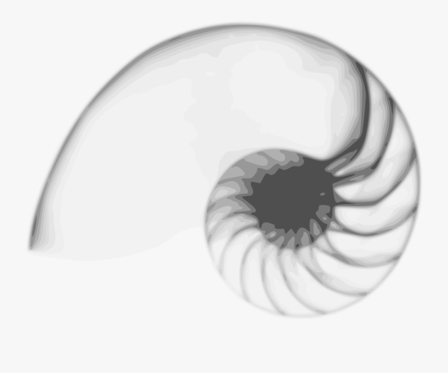 Nautilus Free, Transparent Clipart