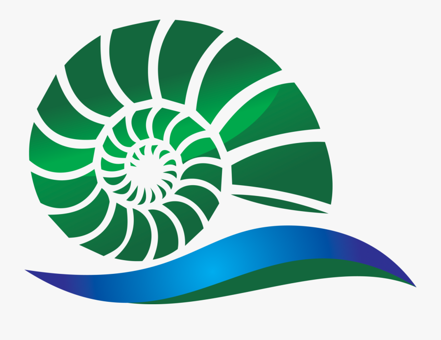 Why I Find The Nautilus Shell As An Inspiration - Диски От Ауди 100, Transparent Clipart
