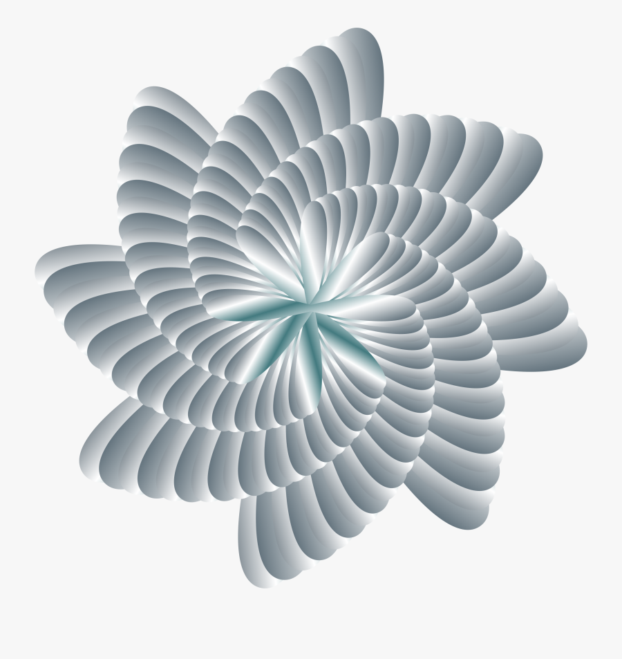 Colorful Nautilus 4 Clip Arts - Illustration, Transparent Clipart