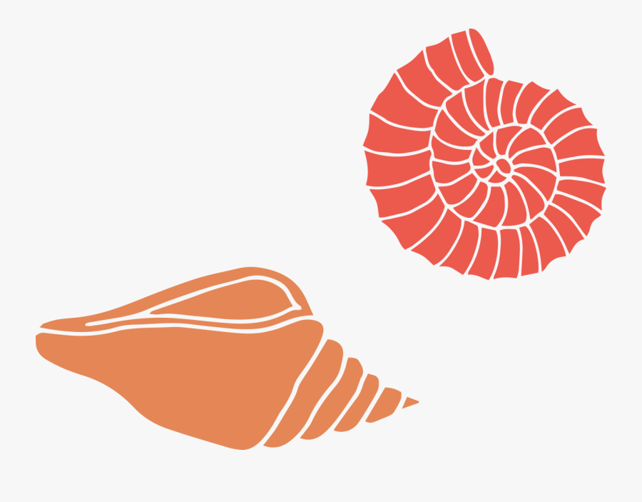 Shells Svg Cut File - Vision Creation Newsun Ep, Transparent Clipart