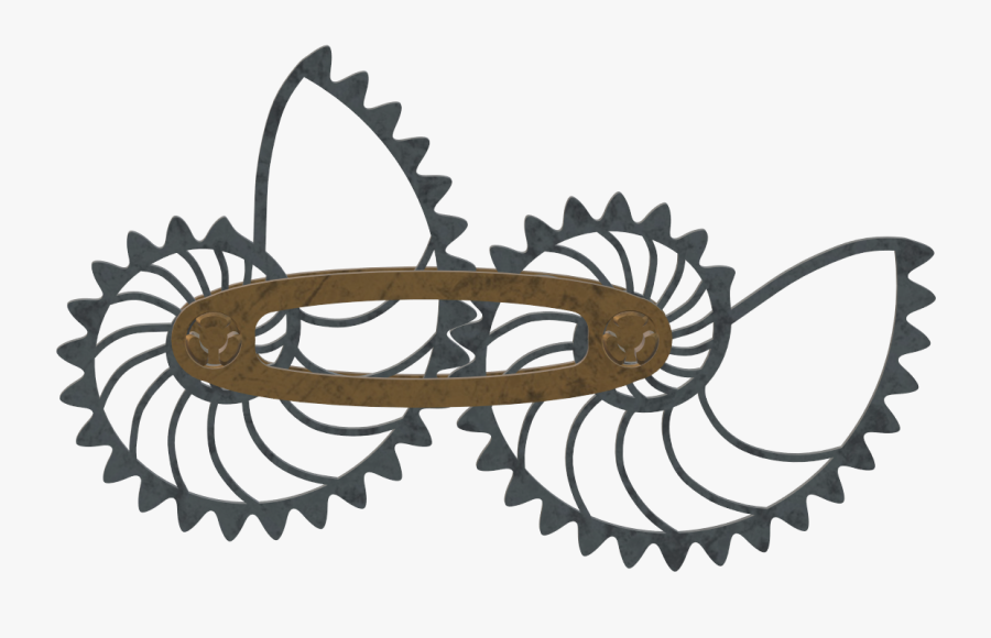 Sparrowhawk Ian Newton, Transparent Clipart