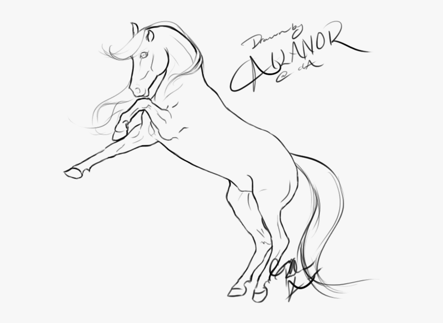 Transparent Jousting Lance Clipart - Drawings Of Horses Rearing, Transparent Clipart