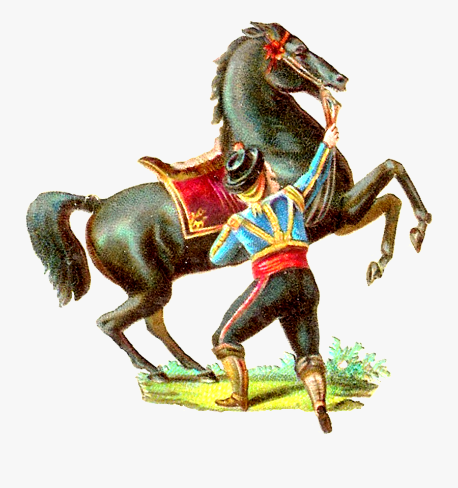 Mane, Transparent Clipart