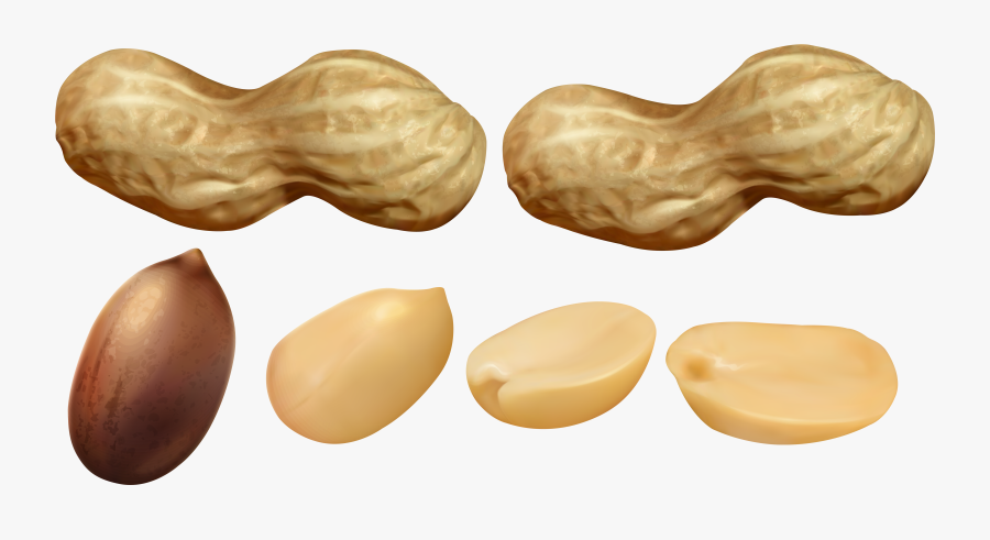 Peanuts Png, Transparent Clipart