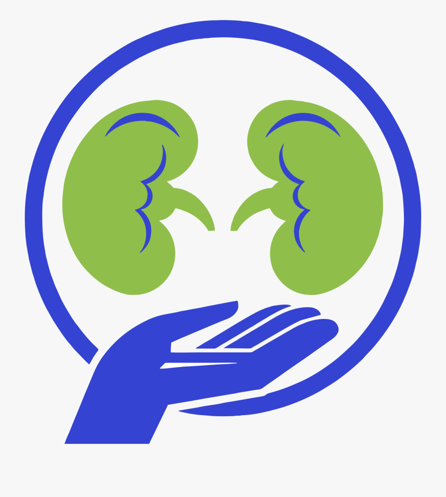 Circle, Transparent Clipart