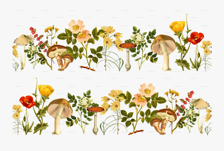 Flowers And Wild Mushrooms, Transparent Clipart