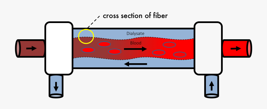 High Flux Hemodialysis Membrane, Transparent Clipart
