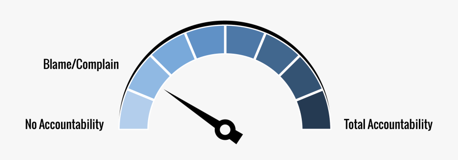 Circle, Transparent Clipart